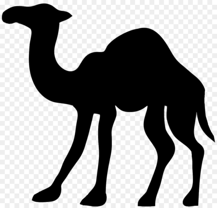 Kamel-Silhouette Clip art - Camel