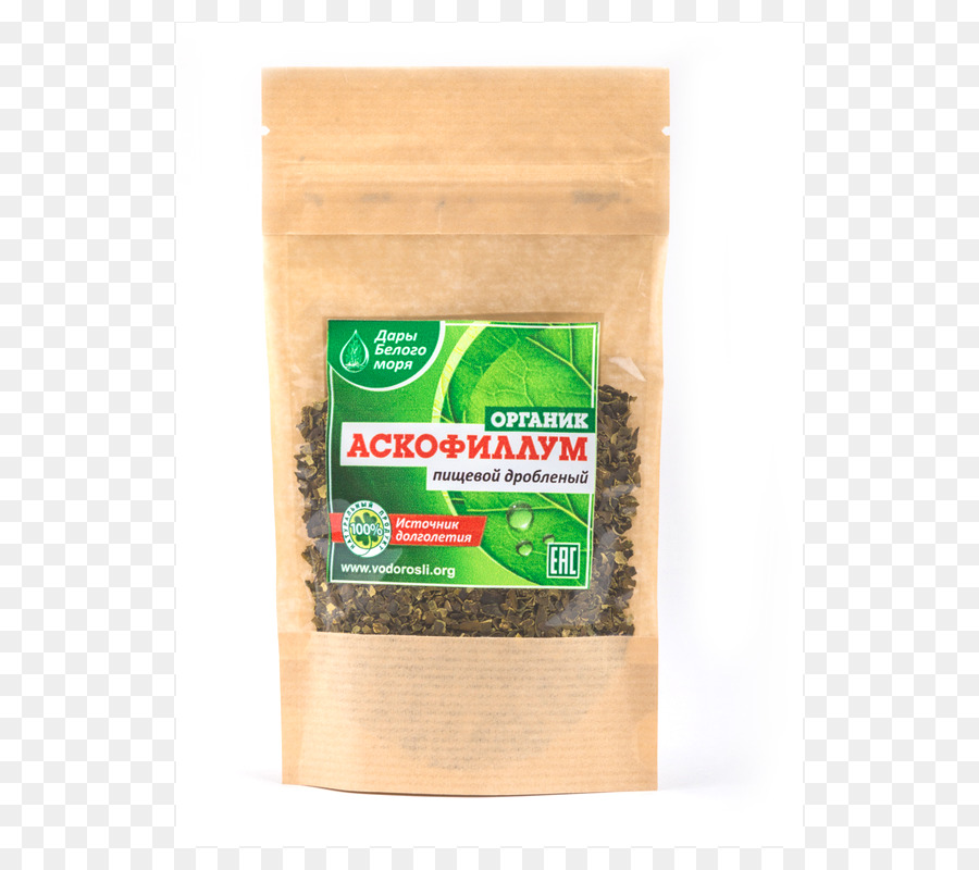 Ascophyllum nodosum Blasentang, Algen Aroma, Lebensmittel Industrie - Ascophyllum Nodosum