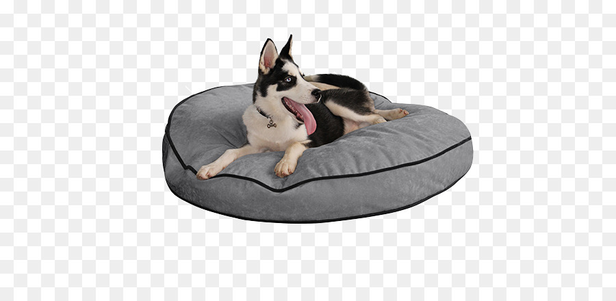 Hund Rasse-Bett Service-Hund-Couch - Hund