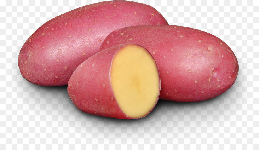 Russet burbank Kartoffel die Knolle der Pflanze EarthApples Saatgut Kroshka Kartoshka - fingerling Kartoffel