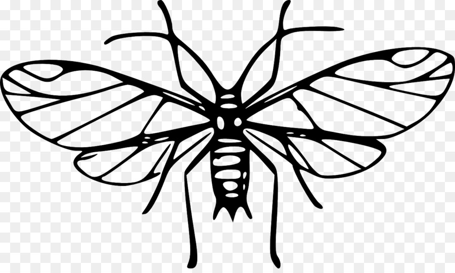 Mosquito Clip art - Mücke