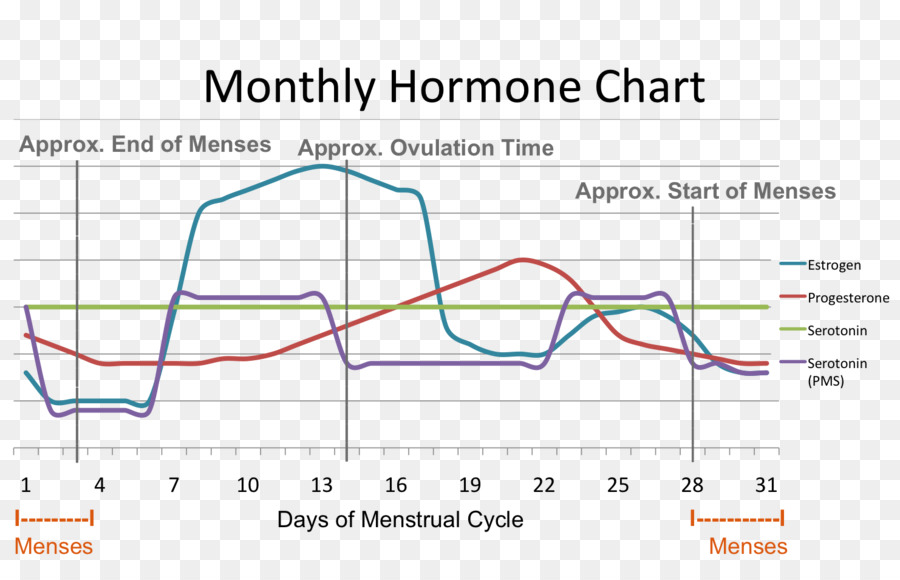 Ciclo mestruale Mestruazioni sindrome Premestruale Ormone Estrogeno - donna