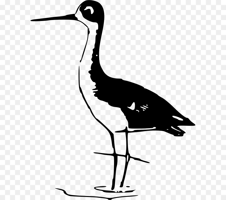 Uccello Trampoliere Gru Pelican Clip art - uccello