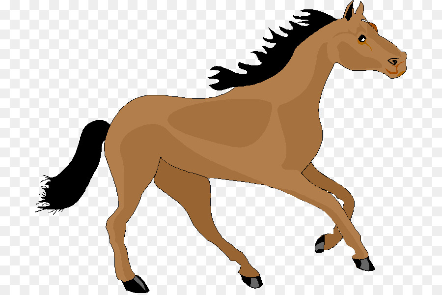 Mustang Fohlen Pony Hengst Clip-art - Mustang