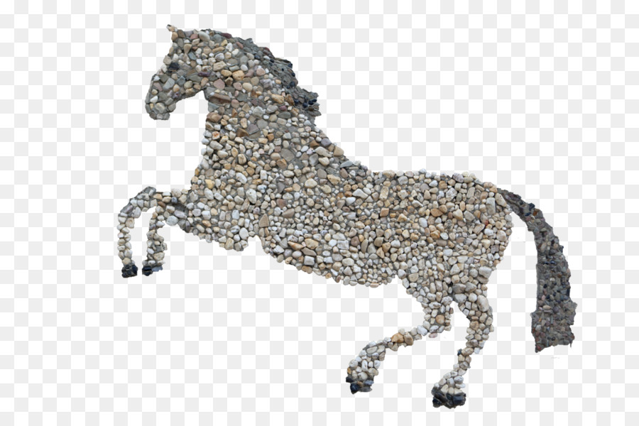 Mustang Levade nghệ thuật của cưỡi Ngựa lạc bộ tăng Cường - mustang