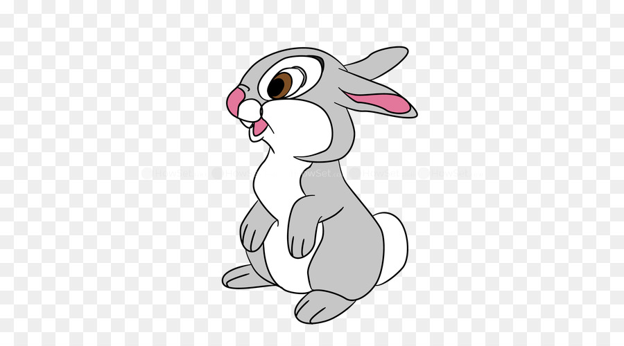 Thỏ trong nước Hare Râu Easter Bunny - thỏ