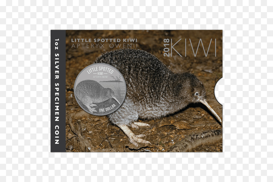 Nuova Zelanda Po ' macchiato di kiwi Moneta d'Argento di Grande kiwi maculato - argento