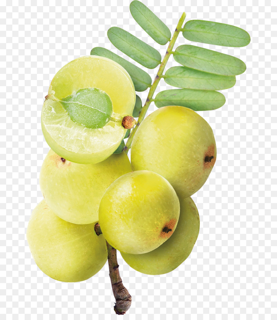 Key lime uva spina Indiana Succo di lime persiano - succo di