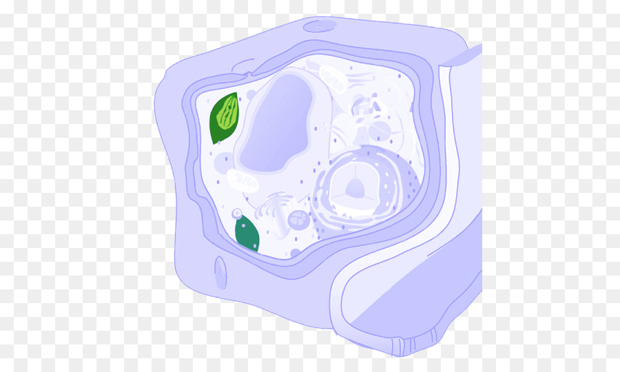 Cell Membrane Aqua