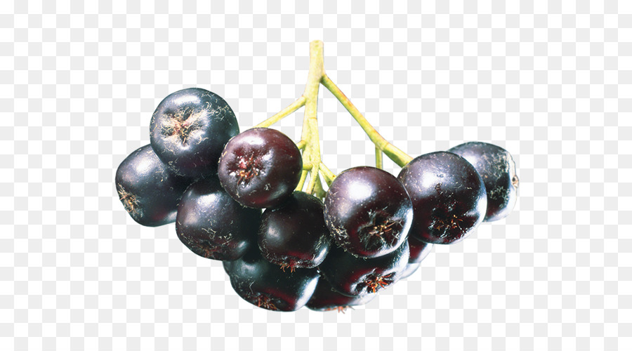 Nước trái cây Aronia melanocarpa Núi-ash Quả Berry - nước trái cây