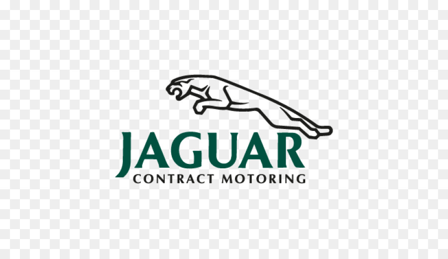 Jaguar Jaguar XJS - giaguaro