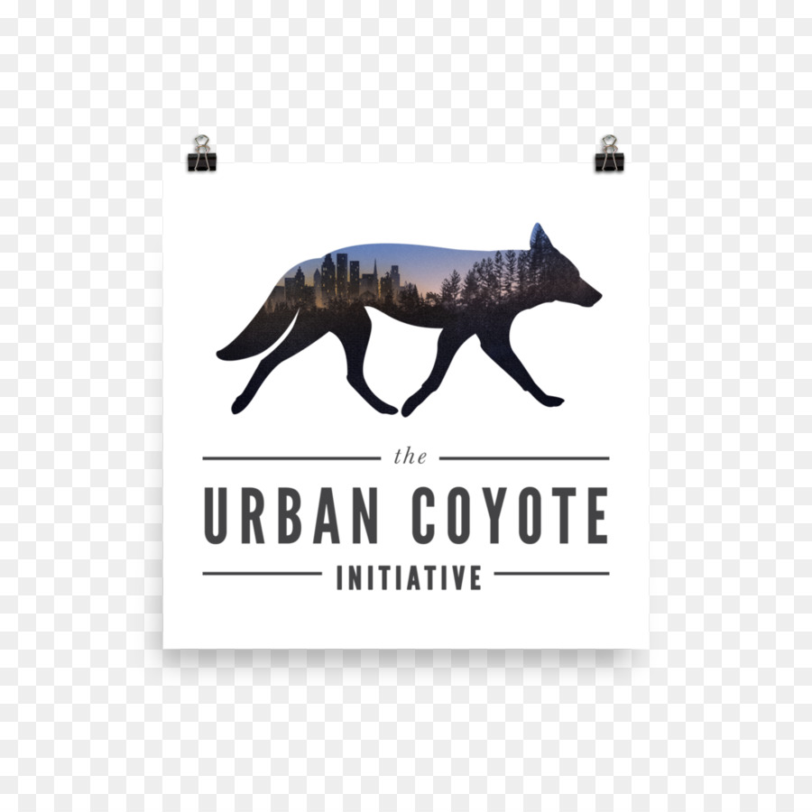 Sky Coyote Canidae Dog Urbaner Kojote - Hund