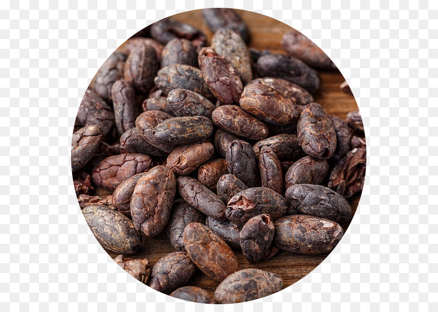Cacao cây hạt Ca cao Ăn Tối sô cô la - sô cô la
