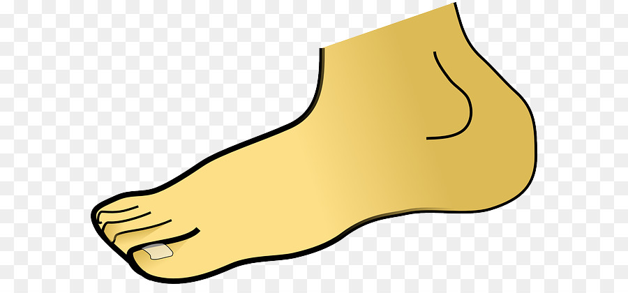 Fuß clipart - Teile des Körpers png herunterladen - 640*407 - Kostenlos  transparent Gelb png Herunterladen.