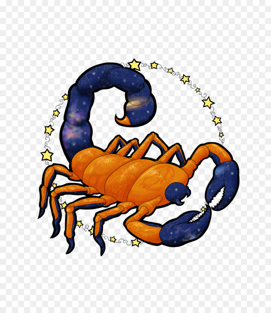 Granchio Clip art - scorpione zodiaco