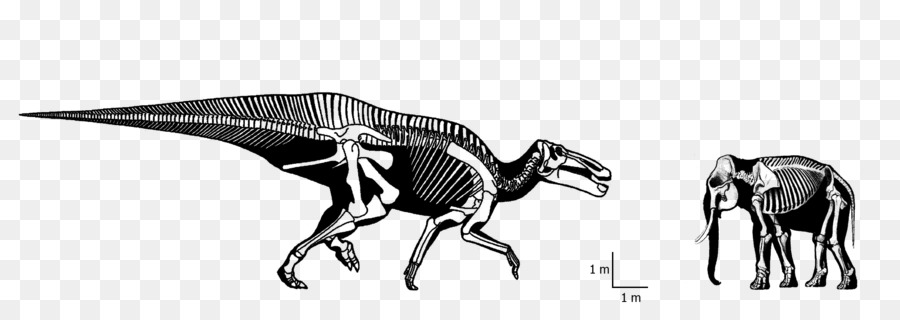 Tyrannosaurus Bestiame Dinosauro Triceratopo Disegno - Dinosauro