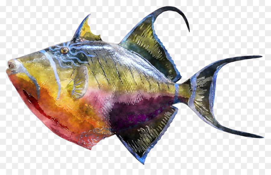Balestra Fotografia Subacquea - acquerello di pesca
