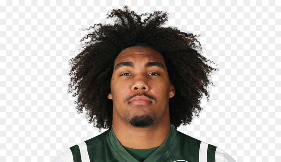 Leonard Williams 2016 New York Jets stagione 2017 New York Jets stagione Indianapolis Colts - altri