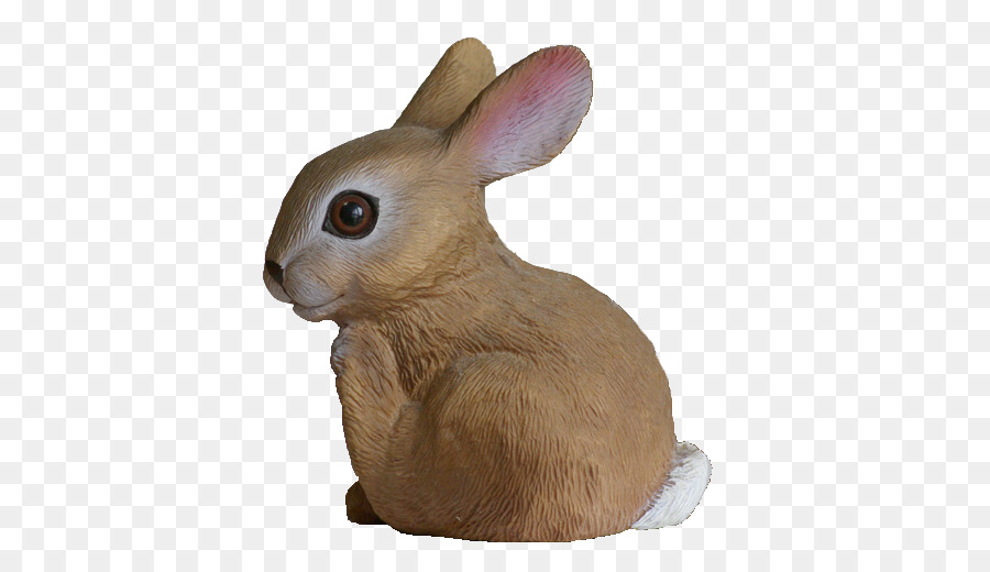 Heimische Kaninchen Hase Schnurrhaare Schnauze New England cottontail - Kaninchen