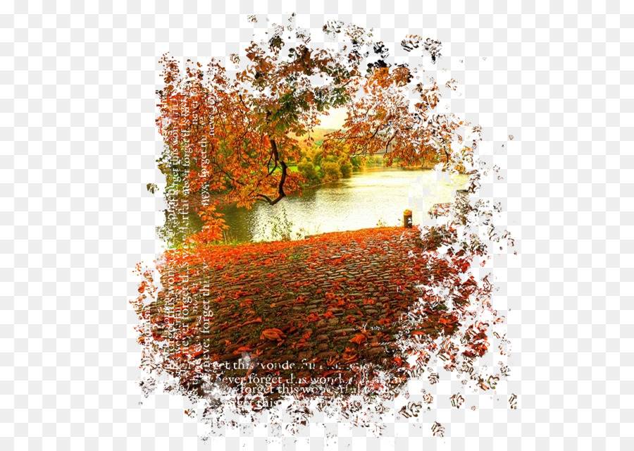 Autunno Fotografia - autunno