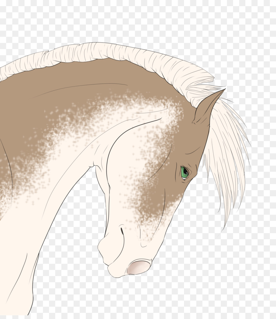Mähne Mustang Zeichnung Schnauze - Mustang