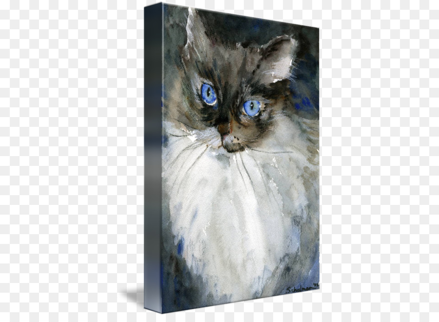 Ragdoll Baffi Gattino Domestico a pelo corto gatto gatto Siamese - la pittura ad acquerello animale