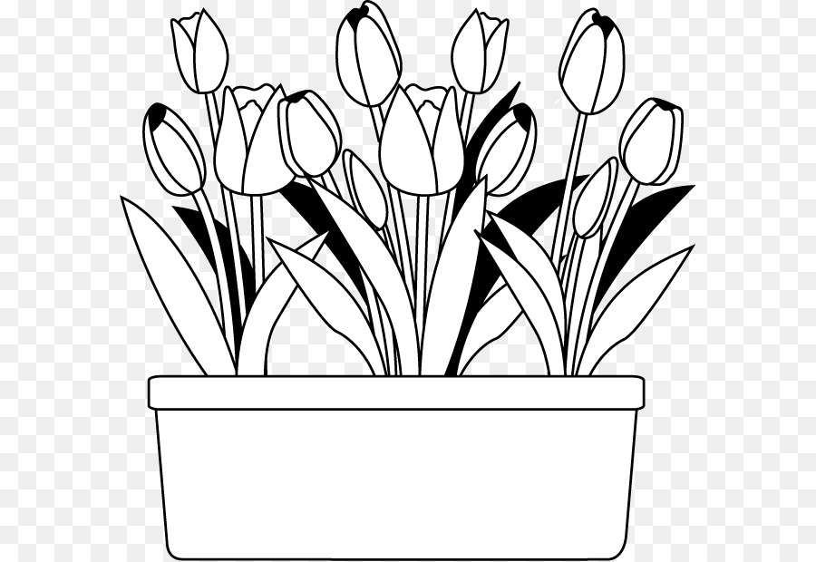 In bianco e nero Fiore pittura Monocroma - fiore