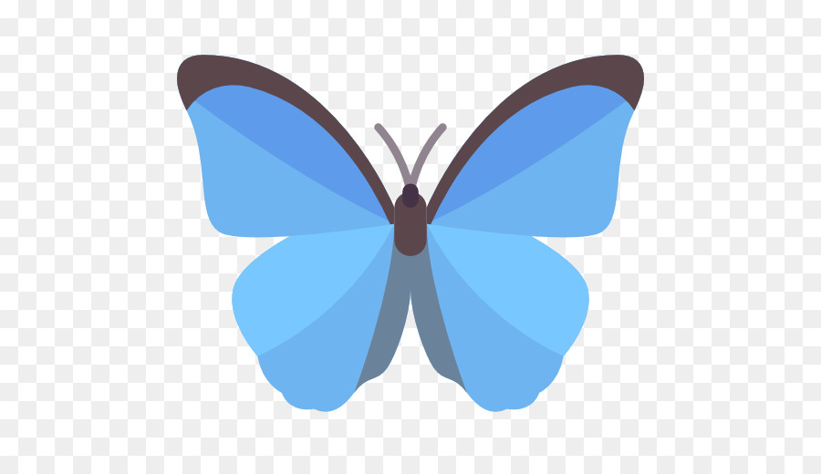 Icone del Computer Monarch butterfly Clip art - altri