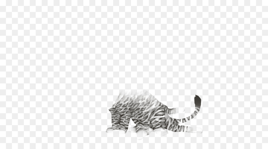Die schnurrhaare der Katze-Zeichnung /m/02csf Schwanz - Katze