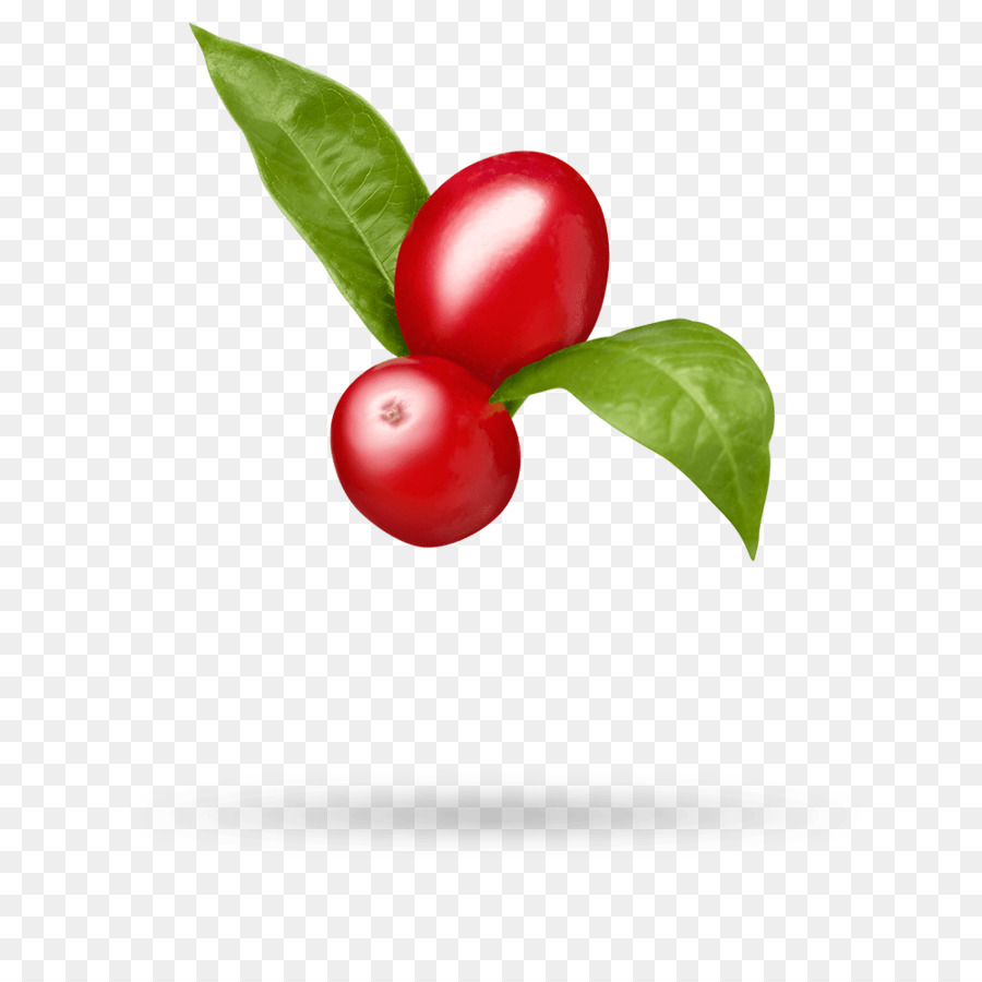 Barbados Cherry cây dâu đỏ Cây việt Quất Hôn nhân nho - cây
