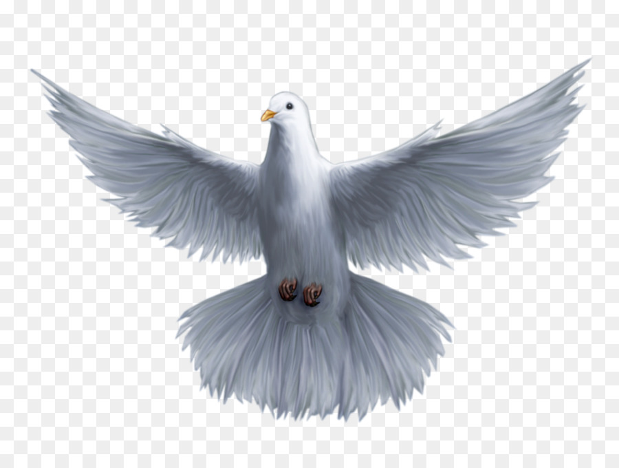 Heiliger Geist Taube