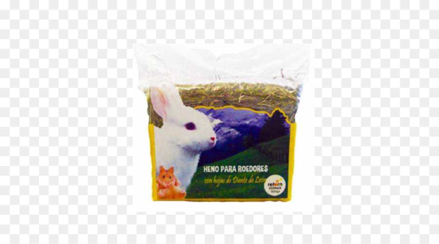 Tierklinik El Guirre Guinea pig Rabbit Animal Pet - Kaninchen