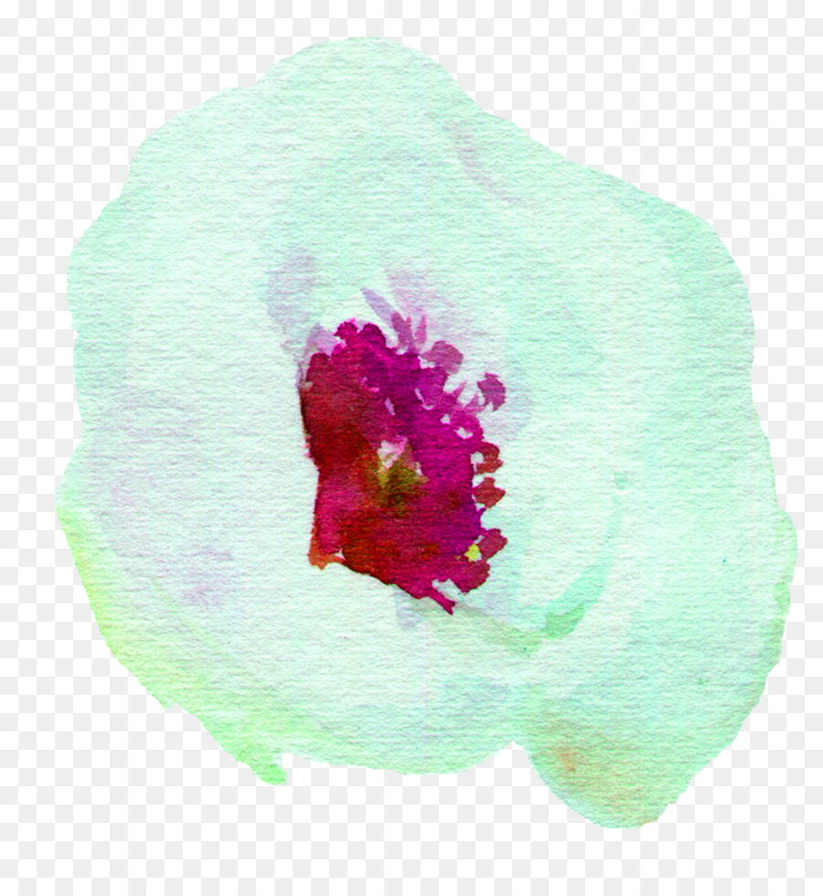 La pittura ad acquerello Petalo Bianco - bianco acquerello fiore
