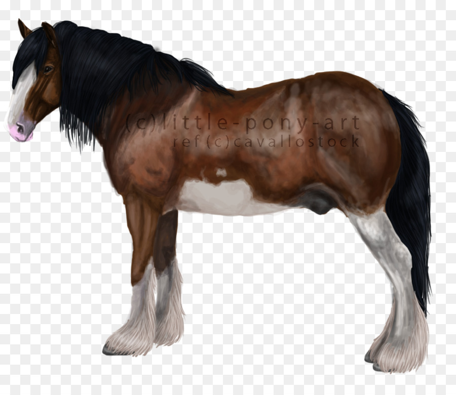 Con Ngựa Mustang Chú Ngựa Mare Colt - mustang
