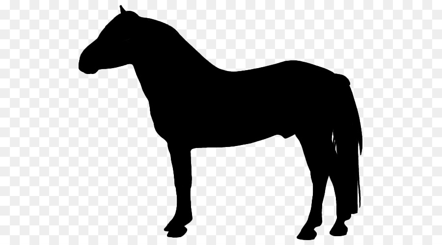 Pferd Silhouette Clip art - Pferd