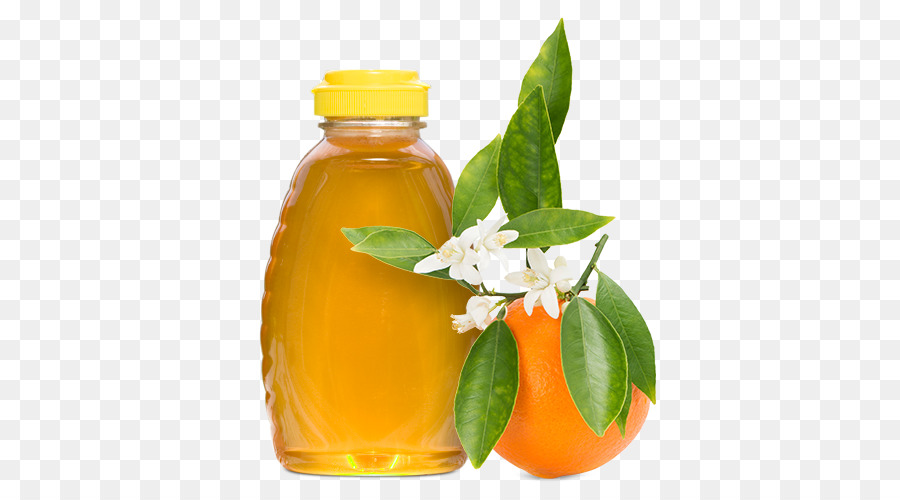 Orange blossom Orange juice Blume - Orange