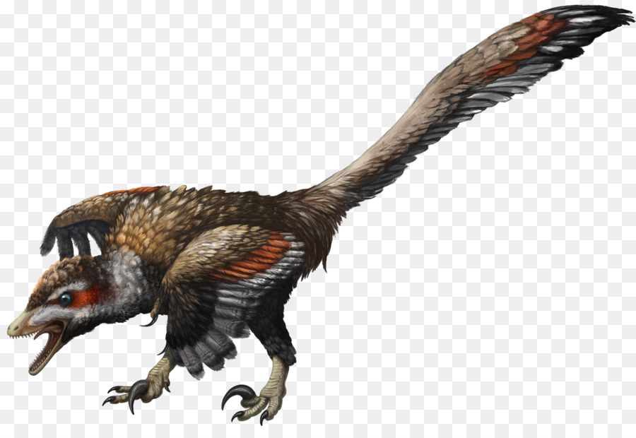 Velociraptor Rực Vách Đá Chi Khủng Long Tiền Sừng Chi Khủng Long - raptor