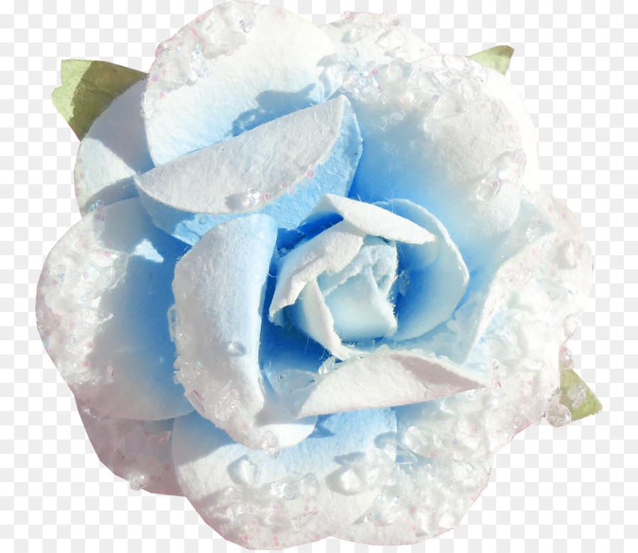 Blue rose-Cut-Blumen Blütenblatt - Rose