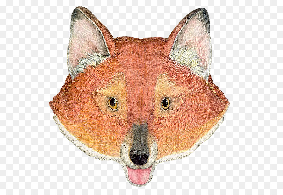 Red fox Dhole PhotoScape - Zorro