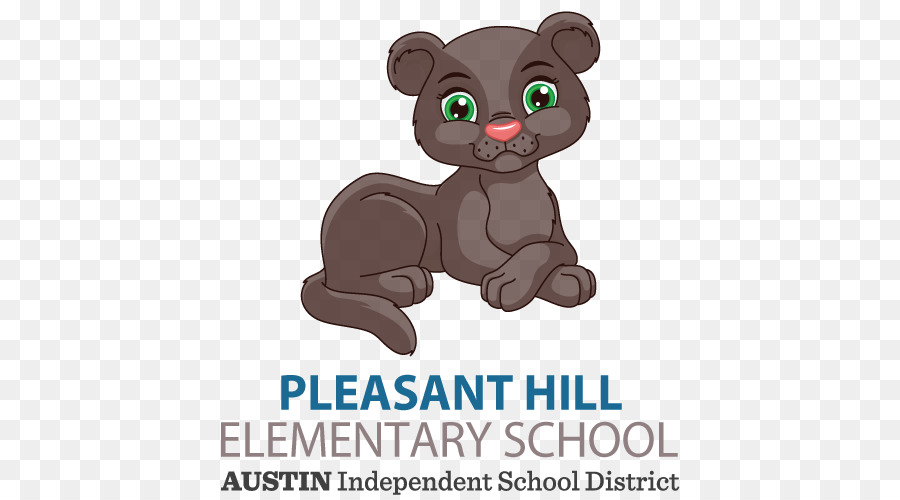 Gatto Pleasant Hill Elementary school district Scuola - gatto