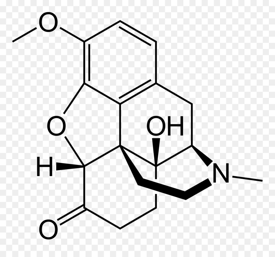 Oxycodon Opioid Thebaine Hydromorphone Droge - Oxytocin