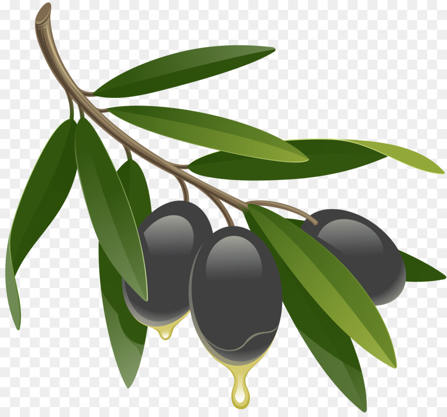 Dakos olio di Oliva cetrioli - oliva