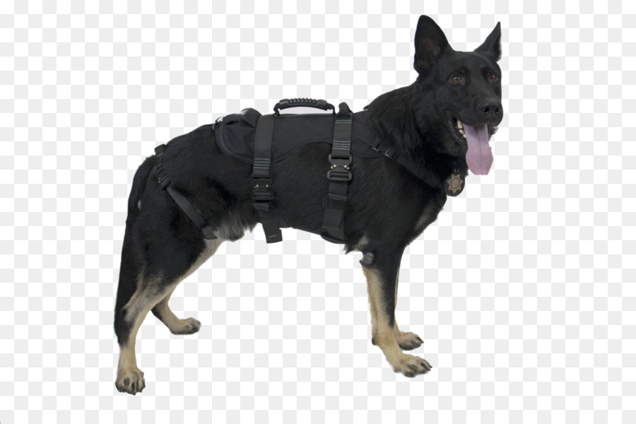 Chinese Crested Dog cane della Polizia pettorina per Cani da Ricerca e salvataggio cani - promemoria