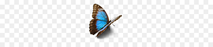 Fangen Mut: zu Verstehen, Ihre Ängste, Ihre Ängste, und Bessere Entscheidungen Treffen - Verwenden Sie die Hindernisse zu Ihrem Vorteil Butterfly Effekt-Körper-Schmuck-Buch - das Leben ist seltsam