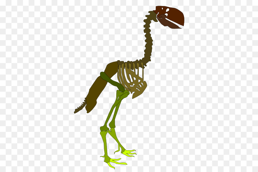 Scheletro Velociraptor La Tostadora T-shirt a Coste - Gastornis parigi