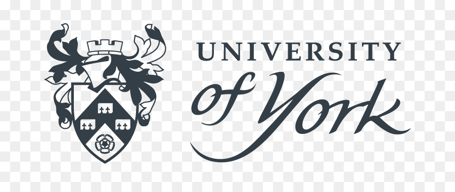 Università di York York St John university, Università di Leeds University of Sheffield University of padova - Studente