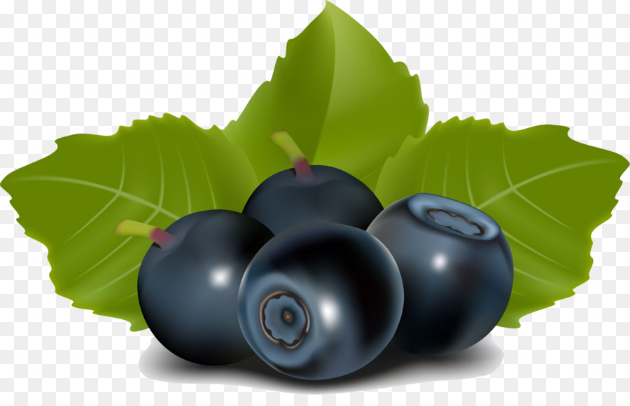 Heidelbeer-Tee-Saft Blackberry - Heidelbeere