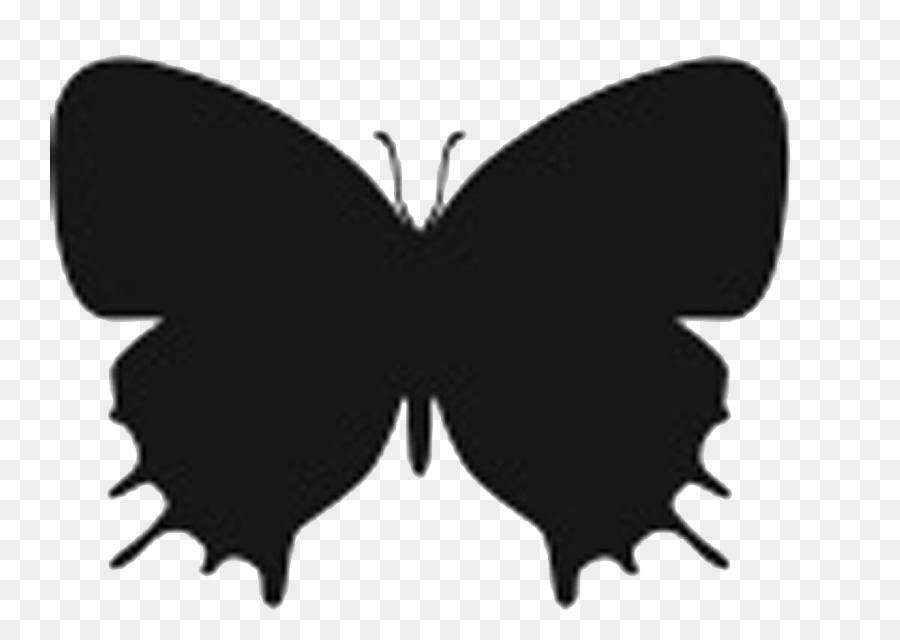 Schmetterling Insekt Silhouette-Schablone - Schmetterling