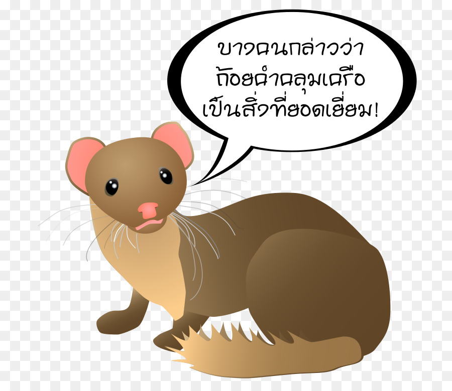 La donnola Faina parola Mouse Frase - parola