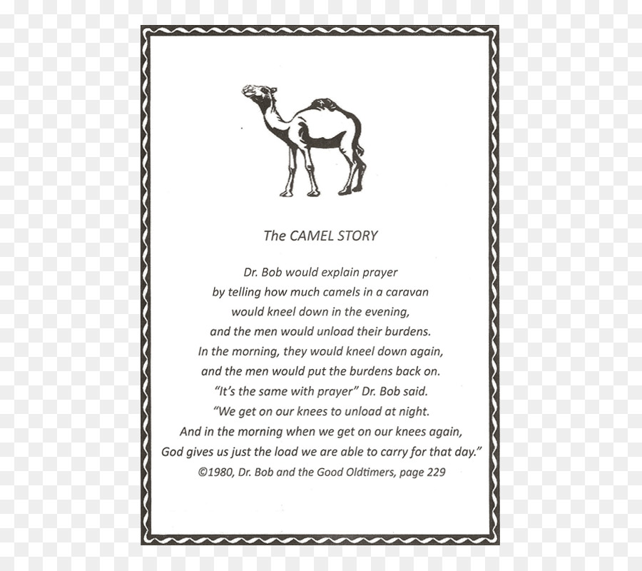 Camel Dr. Bob ' s Home Säugetier Bilderrahmen Schriftart - Camel